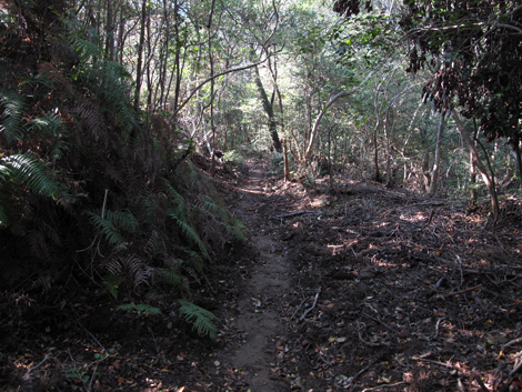 20131116hike (59)